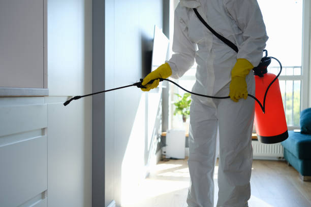 Trusted Port Arthur, TX Mold Remediation Experts