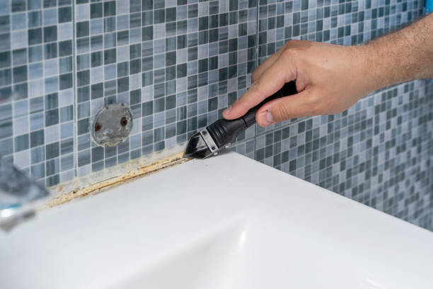 Best Mold Testing and Inspection Services in Port Arthur, TX