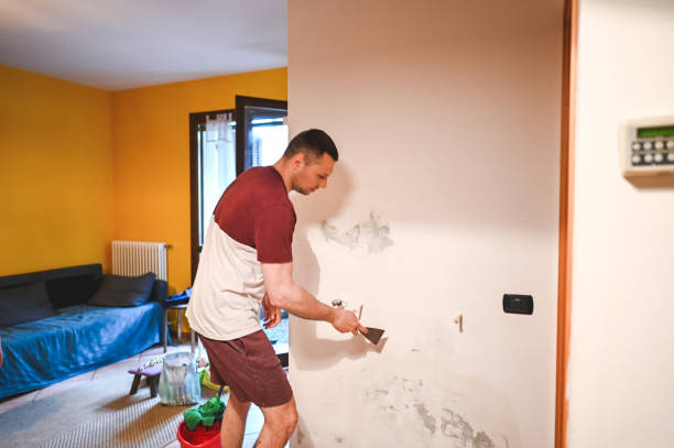 Professional Mold Remediation in Port Arthur, TX